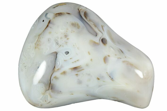 Polished Agate Formation - Madagascar #237611